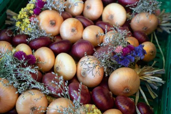 Nidauer Zibelemärit: Herbstlicher Marktzauber auf dem schönen Stadtplatz